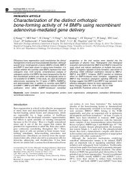 Characterization of the distinct orthotopic bone-forming activity of 14 ...