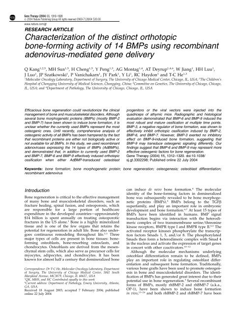 Characterization of the distinct orthotopic bone-forming activity of 14 ...