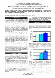 Resumo biodiesel 2012 Raquel Rev cla[1].pdf - INT