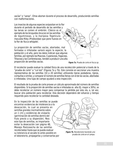 manual de recolecciÃ³n de semillas de plantas silvestres - INIA