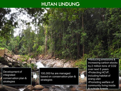 program karbon hutan berau - Forest Climate Center