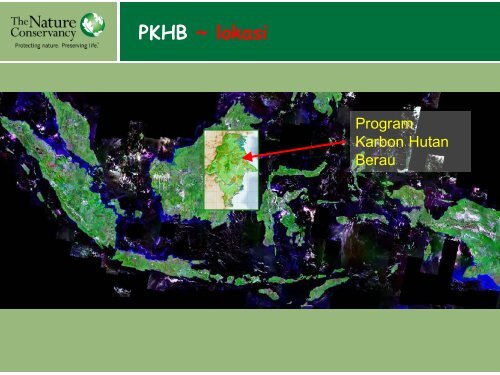 program karbon hutan berau - Forest Climate Center