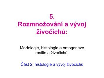 5. Rozmnožování a vývoj živočichů: - eAMOS