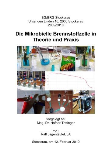 Die Mikrobielle Brennstoffzelle in Theorie und Praxis