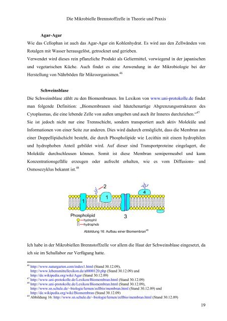 Die Mikrobielle Brennstoffzelle in Theorie und Praxis