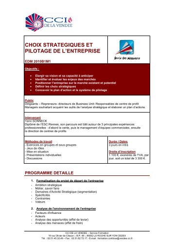 CHOIX STRATEGIQUES ET PILOTAGE DE L'ENTREPRISE