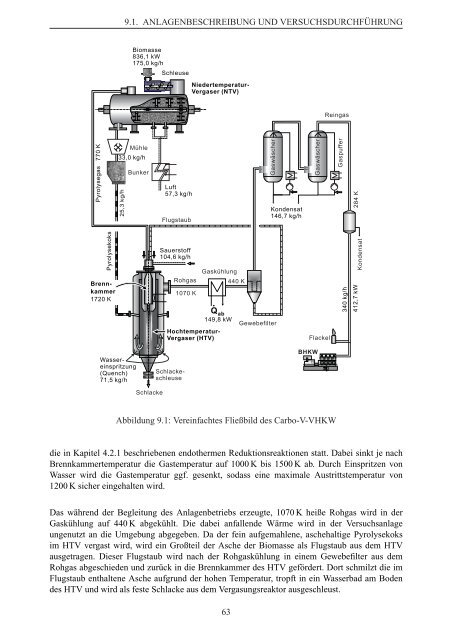 biomassevergasung wiese tuhh (6.377 KB)