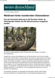 Waldinsel hinter wandernden OstseedÃ¼nen - Michael-Succow-Stiftung