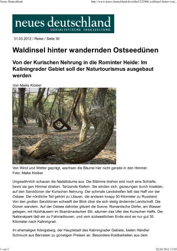 Waldinsel hinter wandernden OstseedÃ¼nen - Michael-Succow-Stiftung