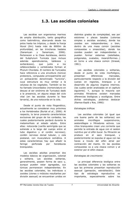 Tesis Doctoral Ascidias antÃ¡rticas Mercedes Varela.pdf - e-IEO