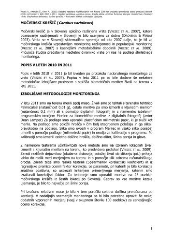 1 MOČVIRSKI KREŠIČ (Carabus variolosus ... - Natura 2000