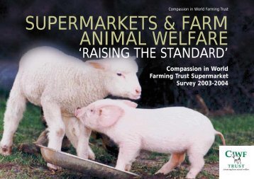 supermarkets & farm animal welfare - Compassion in World Farming