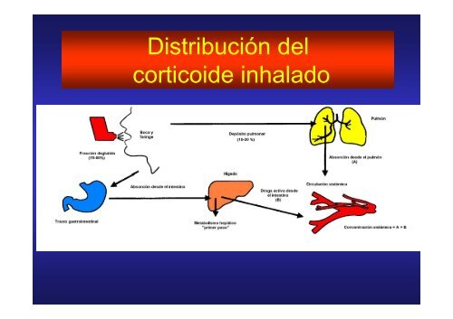 seguridad y efectos adversos en corticoides inhalados