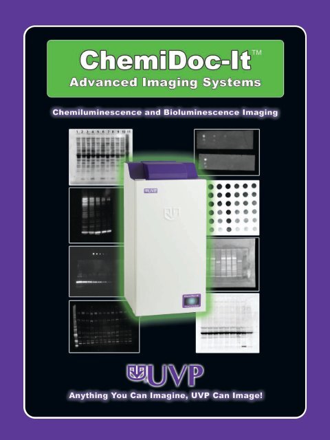 Chemi Doc It Brochure