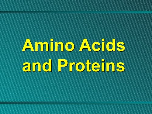 Amino Acids - Ecu