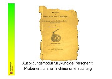 Probenentnahme Trichinenuntersuchung