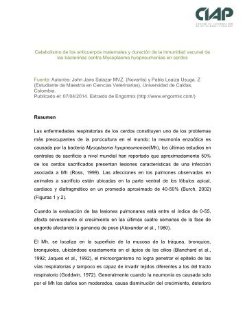 Catabolismo de los anticuerpos maternales y duracion de la inmunidad vacunal de las bacterias contra Mycoplasma hyopneumoniae en cerdos