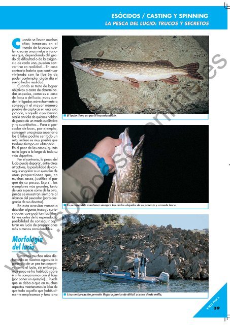 LA PESCA DEL LUCIO LA PESCA DEL LUCIO - Solopescaonline.es