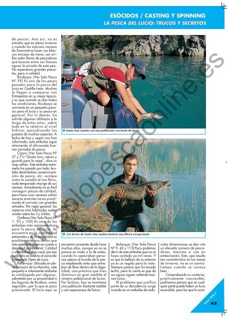 LA PESCA DEL LUCIO LA PESCA DEL LUCIO - Solopescaonline.es