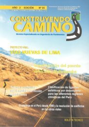 Revista Construyendo Camino - Colegio de Ingenieros del PerÃº