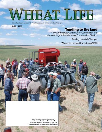 July - Wheat Life