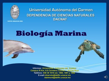 UNACAR Biol Marina.pdf - Facultad de Ciencias Marinas