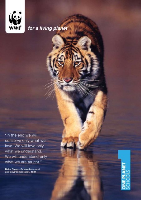 Autumn 2008 - WWF UK