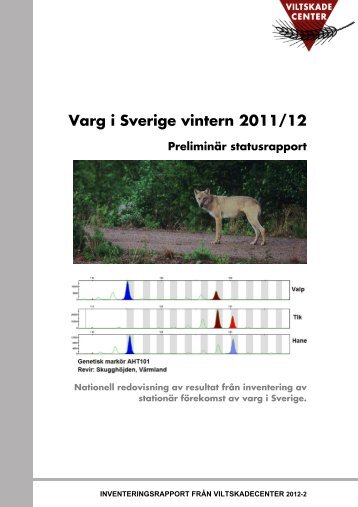 Varg i Sverige vintern 2011/12 - Vargfakta