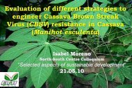 resistance in Cassava - ETH - North-South Centre North-South Centre