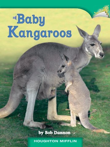 Lesson 22:Baby Kangaroos