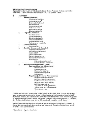 Classification of Human Parasites Updated (from Garcia, L.S. (1993 ...