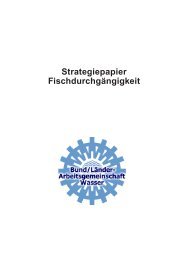 Strategiepapier FischdurchgÃ¤ngigkeit - Saarland