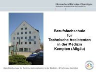 Berufsfachschule für Technische Assistenten in der ... - Dsbmoodle.de