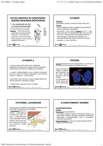 A biológia alapjai 8-12 FF.pdf