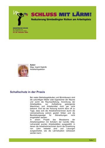 Schallschutz in der Praxis - Arbeitsinspektion