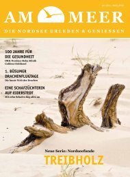 PDF Download - AM-MEER-online