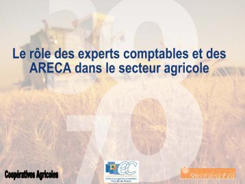 Le rôle des experts comptables et des ARECA dans le secteur ...