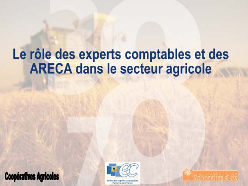 Le rôle des experts comptables et des ARECA dans le secteur ...