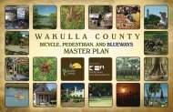 Bicycle, Pedestrian & Blueways Master Plan Part 1 - Wakulla County