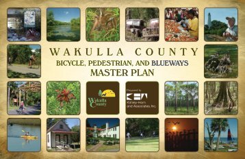 Bicycle, Pedestrian & Blueways Master Plan Part 1 - Wakulla County