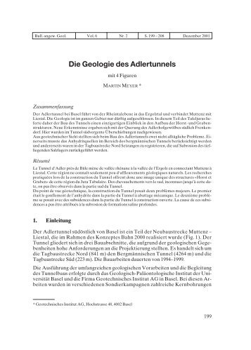 Die Geologie des Adlertunnels - Bulletin für angewandte Geologie