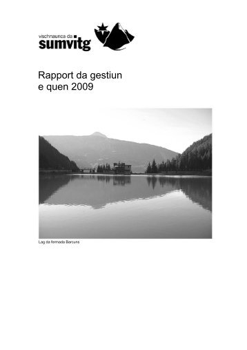 Rapport da gestiun e quen 2009