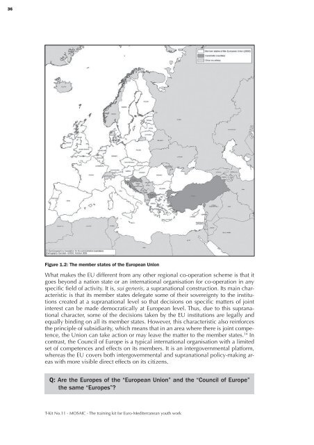 MOSAIC - The training kit for Euro-Mediterranean youth work