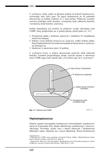 Podstawowe procedury laboratoryjne w ... - digicollection.or..