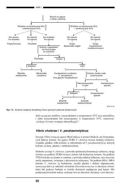 Podstawowe procedury laboratoryjne w ... - digicollection.or..