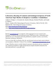 Laboratory Rearing of Common and Endangered ... - elkintonlab