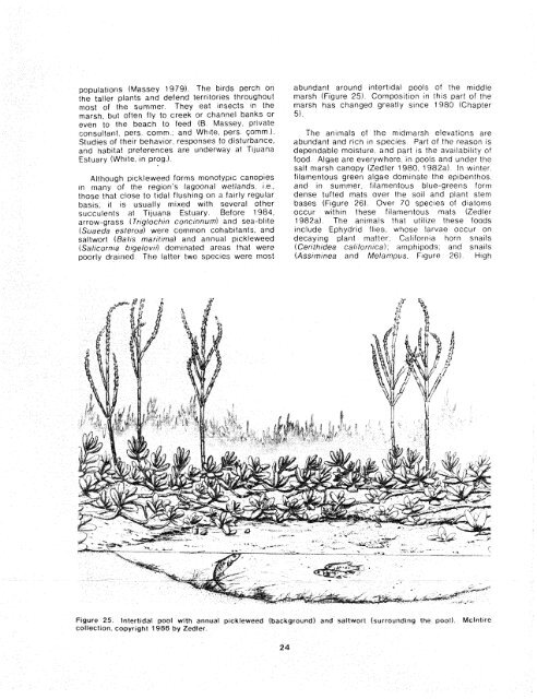 The Ecology of Tijuana Estuary, California: An Estuarine Profile