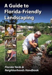 A Guide to Florida-Friendly Landscaping