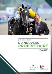 Self Cravate Blanc sur Crème Plume Motif Coton équitation dressage Stock-concours complet
