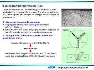 8. Intergranular Corrosion (IGC) - KAIST